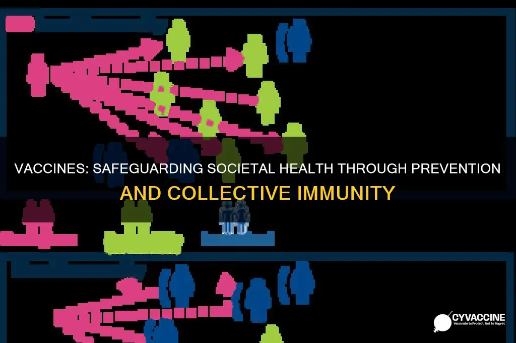 why are vaccines important to overall societal health