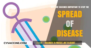 Vaccines: Essential Tools to Prevent Disease Spread and Save Lives