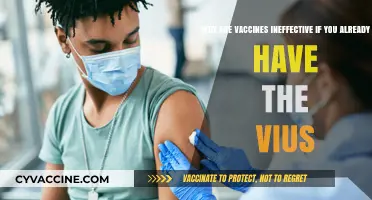 Vaccines and Existing Infections: Why They Don't Work in Reverse