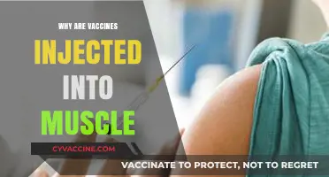 Why Vaccines Are Injected into Muscle: Unlocking Immune Response