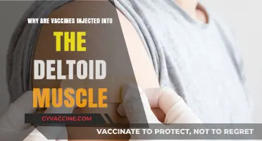 Why Deltoid Muscle Injections Are Ideal for Vaccines