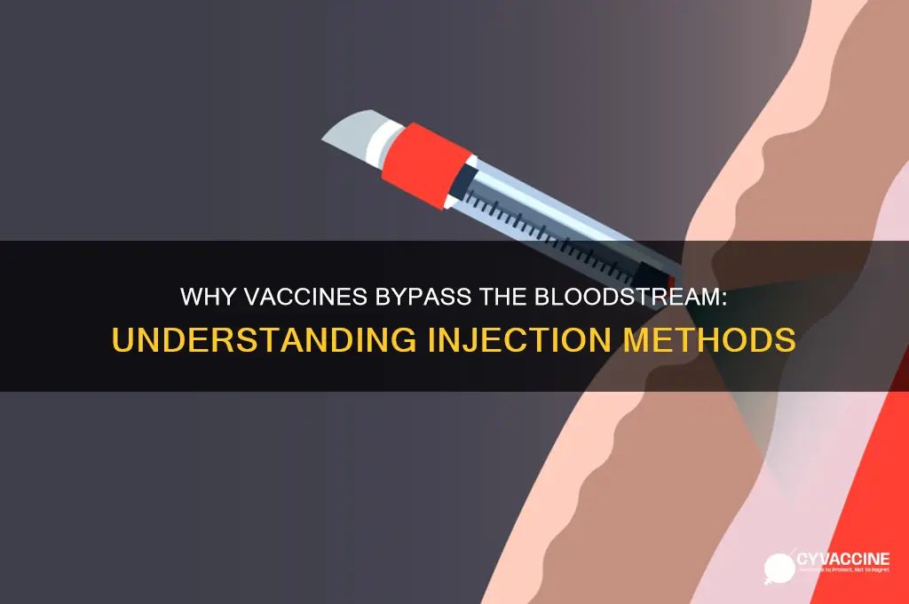 why are vaccines not injected directly into the bloodstream