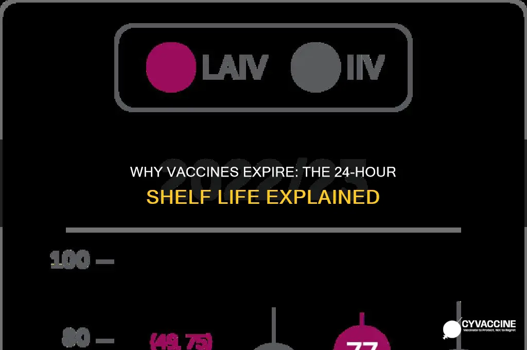 why are vaccines only good for 24 hours