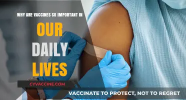 Vaccines: Essential Shields Protecting Daily Health and Community Well-being