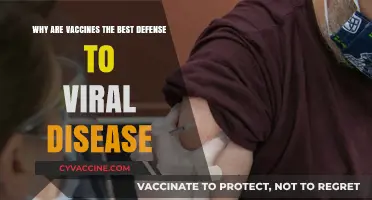 Vaccines: The Ultimate Shield Against Viral Diseases and Pandemics
