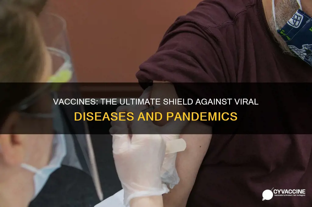 why are vaccines the best defense to viral disease