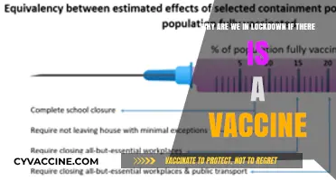 Vaccines and Lockdowns: Understanding the Ongoing Need for Restrictions