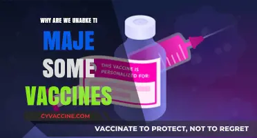 Challenges in Vaccine Development: Why Some Remain Unattainable