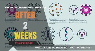 Understanding the 2-Week Wait: When Are You Fully Vaccinated?