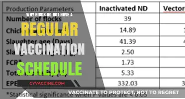 Why Birds Lack Regular Vaccination Schedules: Exploring the Unique Factors