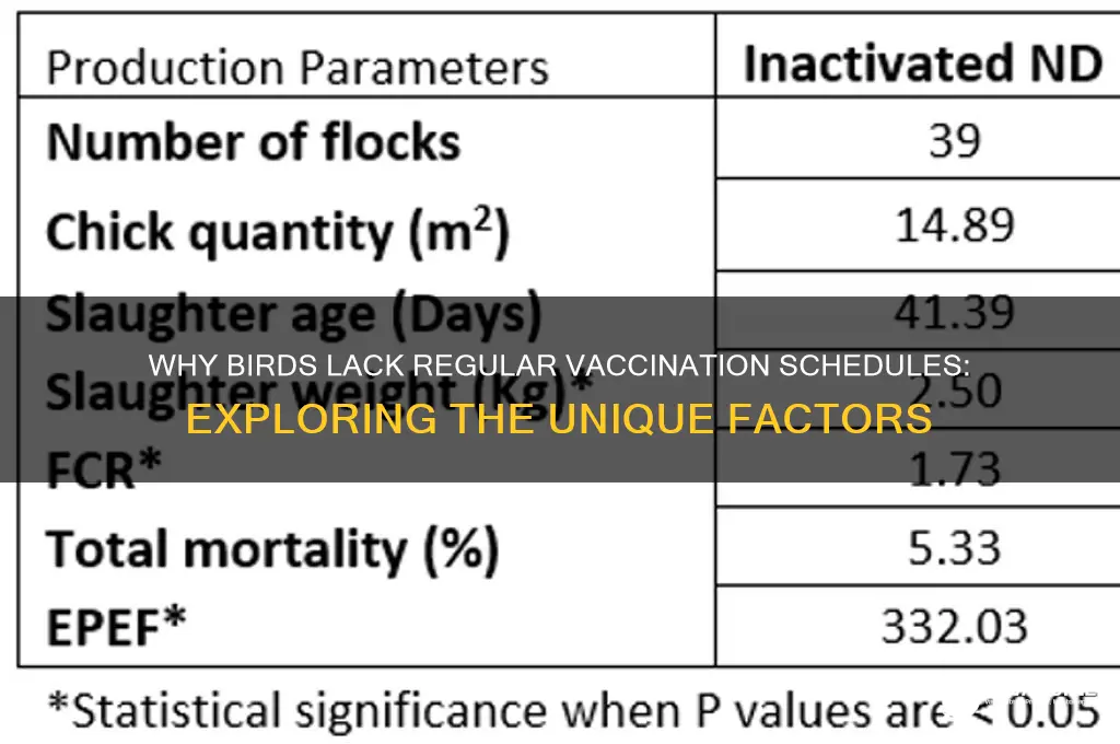 why birds do not have a regular vaccination schedule