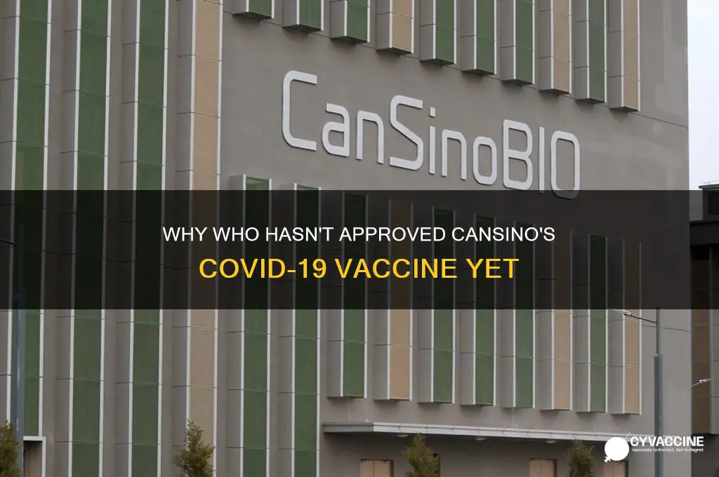 why cansino vaccine is not approved by who