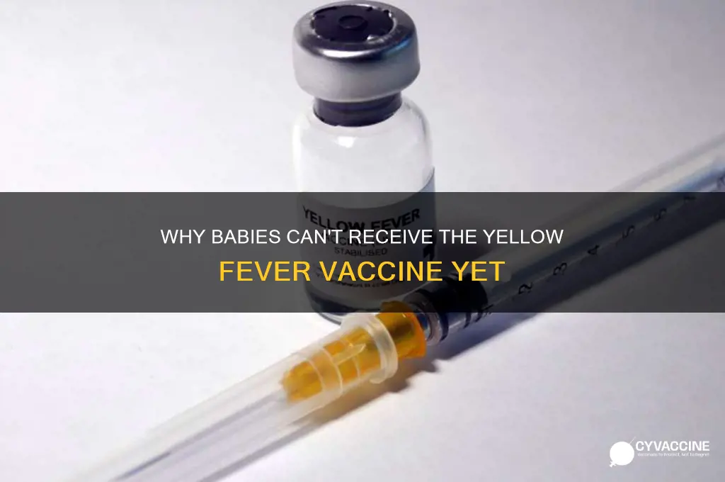 why cant babies receieve the yellow feevr vaccine