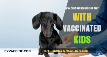 Vaccinated vs. Unvaccinated Kids: Debunking Myths About Playtime Safety