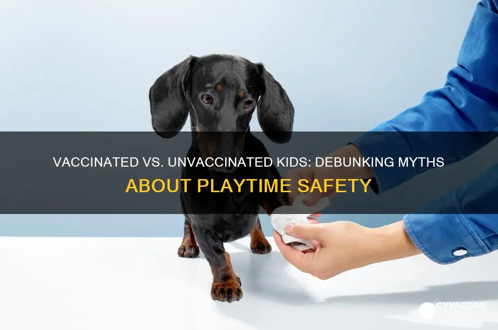 why cant unvaccine kids play with vaccinated kids
