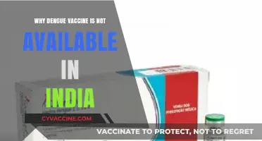 Why India Lacks Access to the Dengue Vaccine: Key Challenges