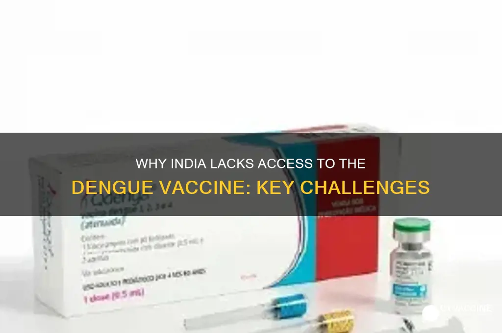 why dengue vaccine is not available in india