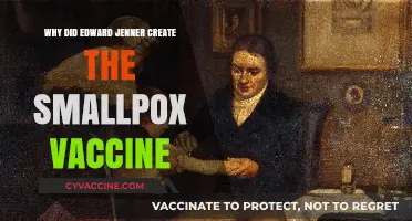 Edward Jenner's Smallpox Vaccine: A Revolutionary Medical Breakthrough Explained