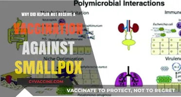 Kepler's Smallpox Immunity: A Historical Perspective on Vaccination Absence