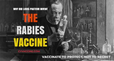 Louis Pasteur's Rabies Vaccine: A Lifesaving Breakthrough and Its Origins