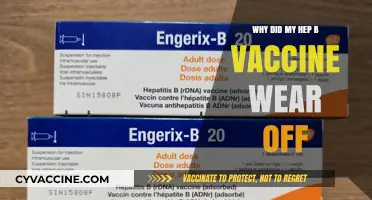 Why Did My Hep B Vaccine Wear Off? Understanding Immunity Decline