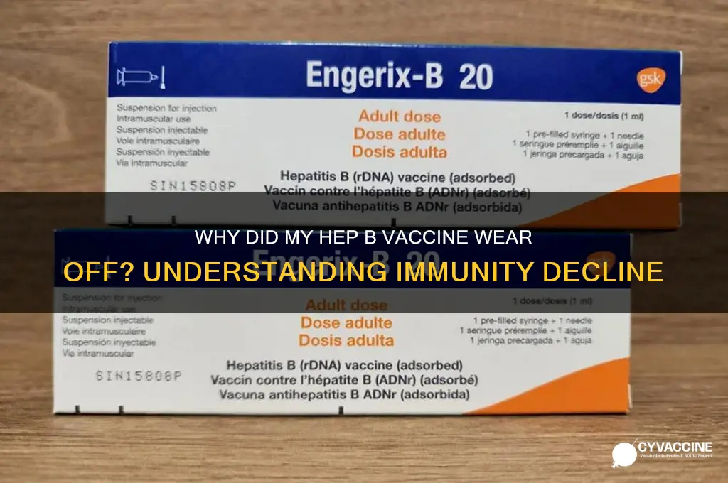 why did my hep b vaccine wear off