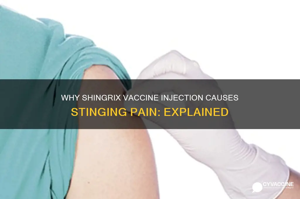 why did my shingrix vaccine sting when injected