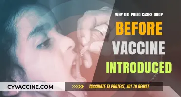 Polio Decline Mystery: Factors Reducing Cases Before Vaccine Arrival