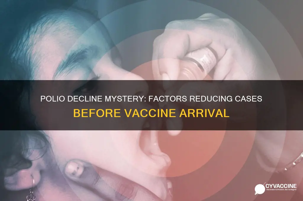 why did polio cases drop before vaccine introduced
