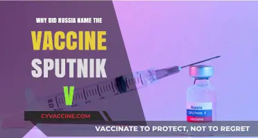 Sputnik V: Russia's Vaccine Name and Its Historical Significance Explained