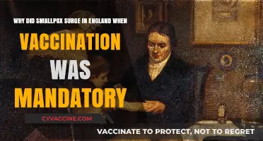 Smallpox Surge in England: Mandatory Vaccination's Unintended Consequences Explored