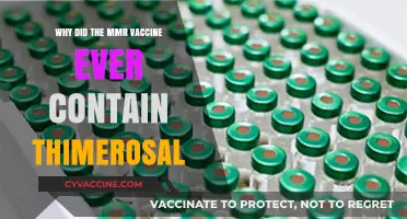 Why Thimerosal Was Once in the MMR Vaccine: Explained