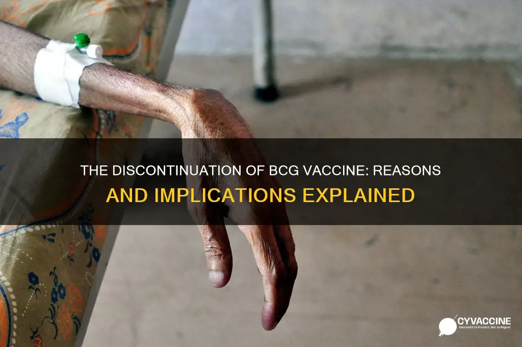 why did they stop giving the bcg vaccine