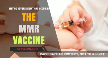 Understanding Adverse Reactions in the MMR Vaccine: Causes and Concerns