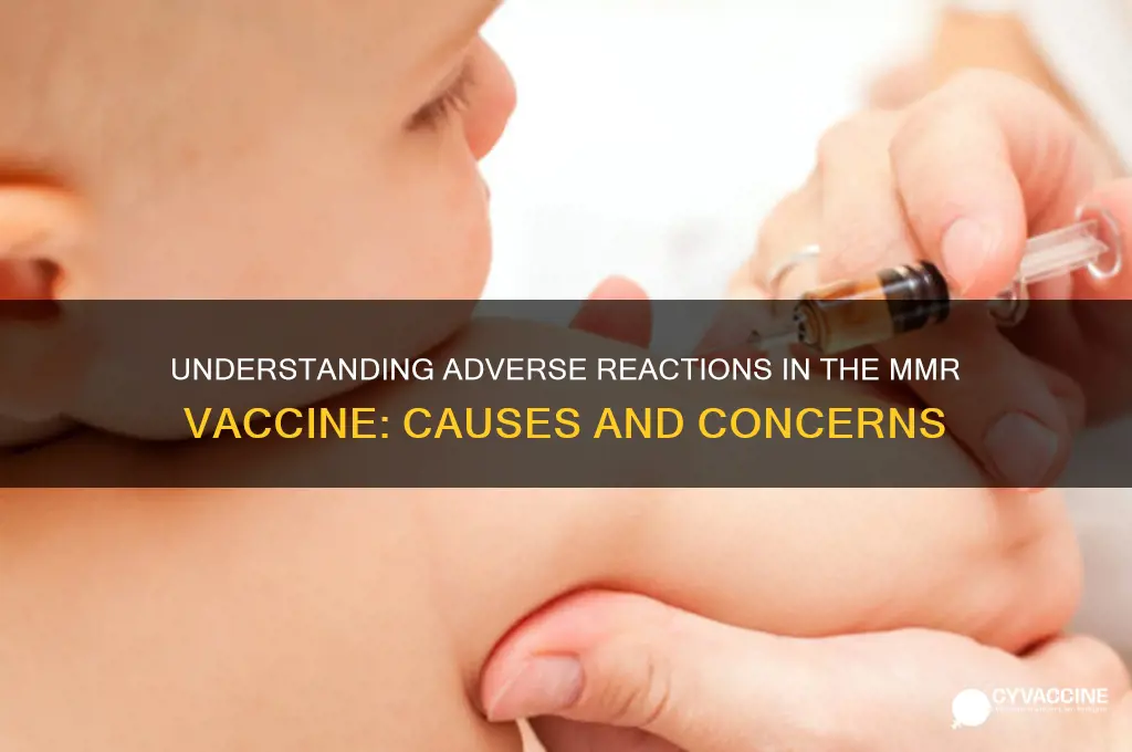 why do adverse reactions occur in the mmr vaccine