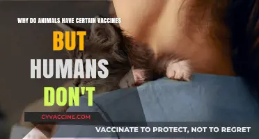Animal Vaccines vs. Human Immunity: Unraveling the Protective Divide