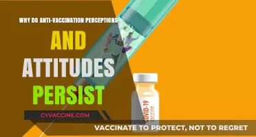 Understanding the Stubborn Persistence of Anti-Vaccination Beliefs and Attitudes