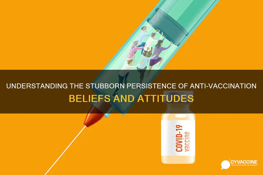 why do anti-vaccination perceptions and attitudes persist