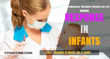 Conjugate Vaccines: Enhancing Infant Immune Responses Effectively