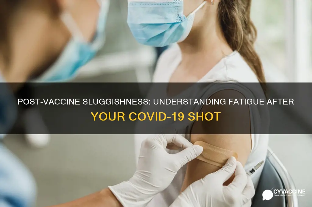 why do i feel sluggish after my vaccine