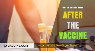 Post-Vaccine Fever: Understanding Common Side Effects and When to Worry