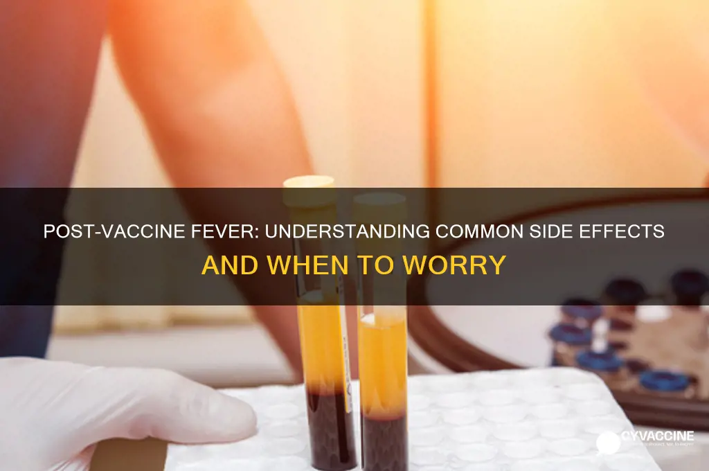 why do i have a fever after the vaccine