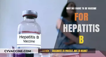 Understanding the Importance of Hepatitis B Vaccination for Your Health