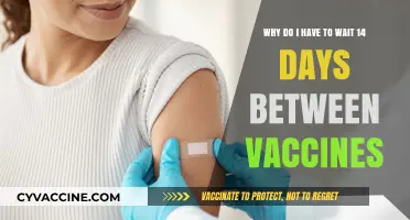 Understanding the 14-Day Gap: Why Vaccines Need Time Between Doses
