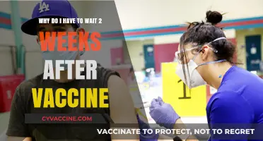 Understanding the Two-Week Wait Post-Vaccination: Science Behind the Delay