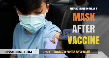 Why Masks Remain Essential Post-Vaccination: Unpacking the Science