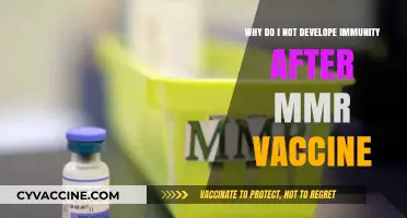 Why MMR Vaccines May Not Always Confer Lifelong Immunity