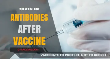 No Antibodies After Vaccination: Understanding Immune Response Variability