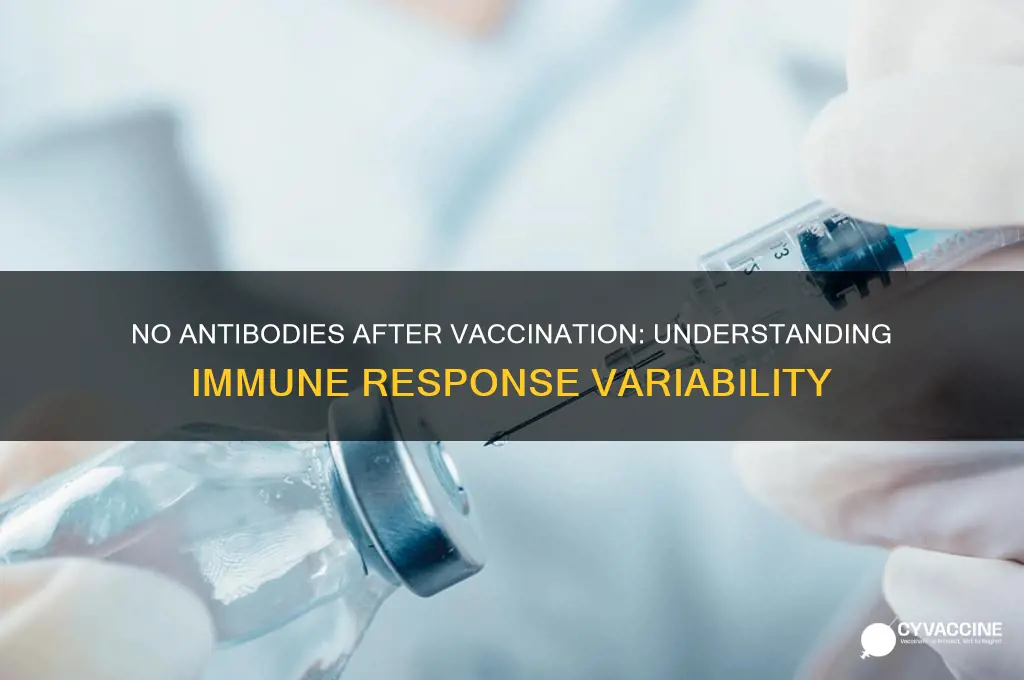why do i not have antibodies after vaccine