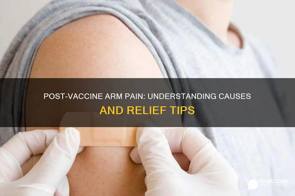 why do my arms hurt after a vaccine shot